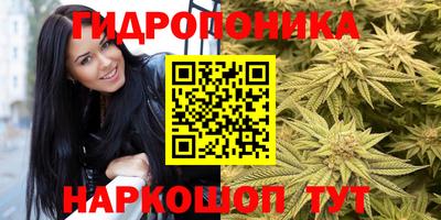 шишки Беслан