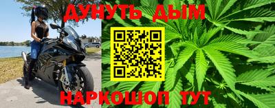 шишки Беслан