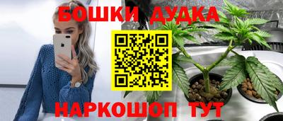 шишки Беслан